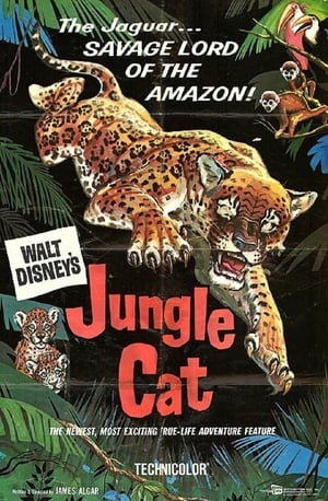 Jungle Cat poszter