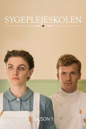 Sygeplejeskolen