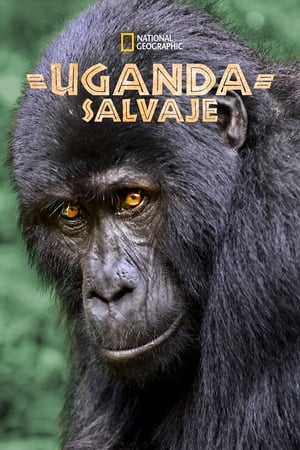 Wild Uganda poszter