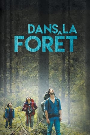 Dans la forêt poszter