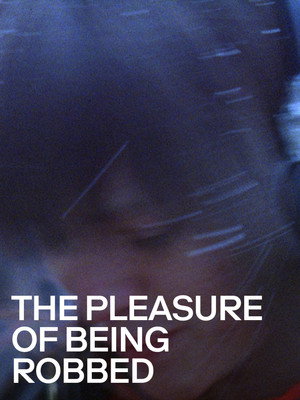 The Pleasure of Being Robbed poszter