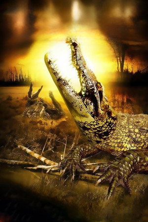Alligator Alley poszter