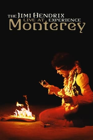 The Jimi Hendrix Experience: Live at Monterey poszter