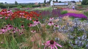 Five Seasons: The Gardens of Piet Oudolf háttérkép