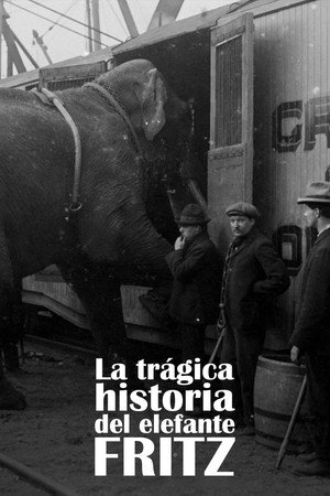 La Tragique Histoire de Fritz l'éléphant poszter