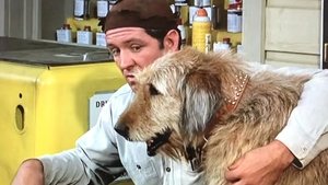 The Andy Griffith Show 6. évad Ep.12 12. epizód