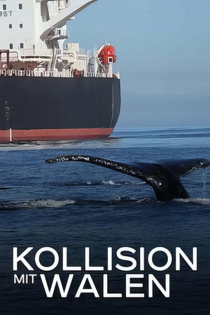 Collision poszter