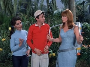 Gilligan's Island 3. évad Ep.27 27. epizód