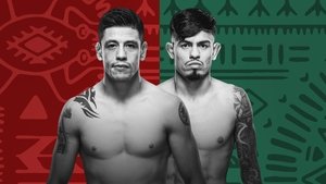 UFC Fight Night 237: Moreno vs. Royval 2 háttérkép