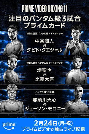 PRIME VIDEO BOXING 11 poszter