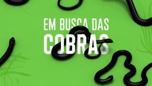 Em Busca das Cobras kép