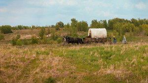 A farm, ahol élünk kép