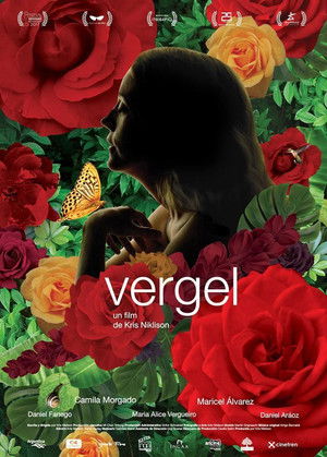 Vergel poszter