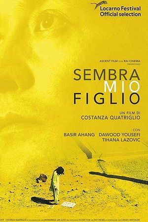 Sembra mio figlio poszter