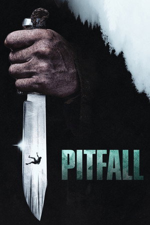 Pitfall poszter