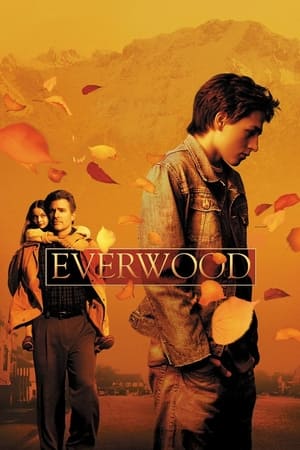 Everwood poszter