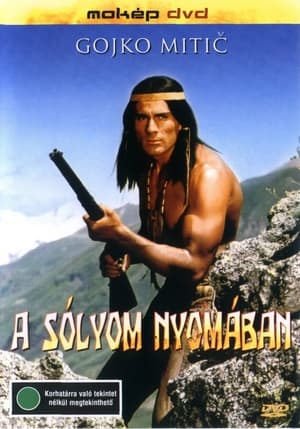 A sólyom nyomában