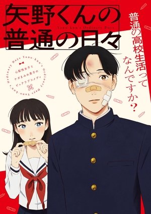 矢野くんの普通の日々 poszter