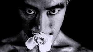 The Strange Case of Yukio Mishima háttérkép