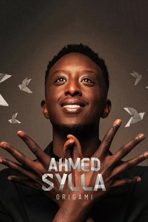 Ahmed Sylla - Origami poszter