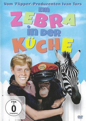 Zebra in the Kitchen poszter