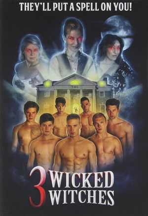 3 Wicked Witches poszter