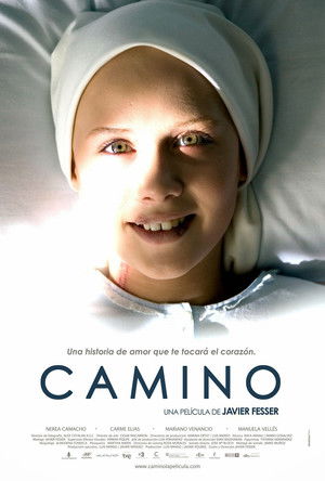 Camino poszter