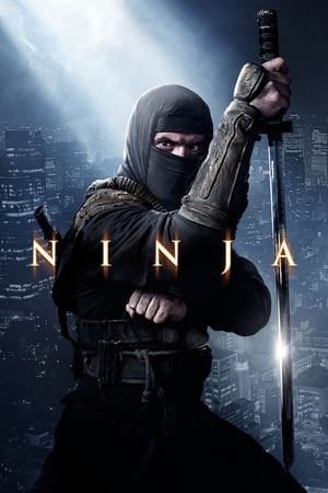 Ninja 2 – A harcos bosszúja poszter