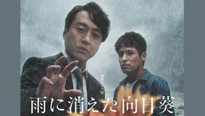 雨に消えた向日葵 kép