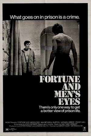 Fortune and Men's Eyes poszter