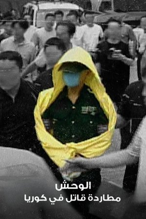 Az esőkabátos gyilkos: Hajsza a koreai ragadozó után poszter