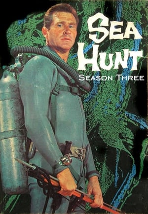 Sea Hunt