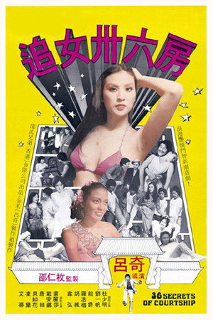 追女三十六房 poszter