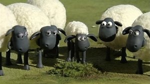 Shaun, a bárány 1. évad Ep.8 8. epizód
