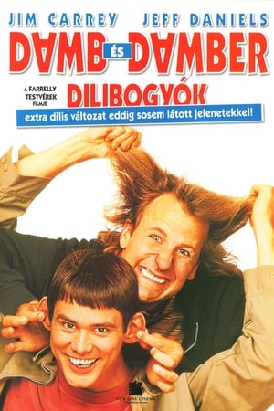 Dumb és Dumber - Dilibogyók