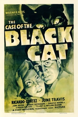 The Case of the Black Cat poszter