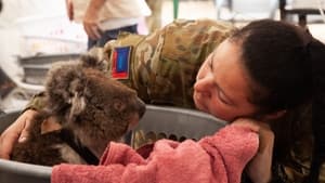 Bushfire Animal Rescue háttérkép