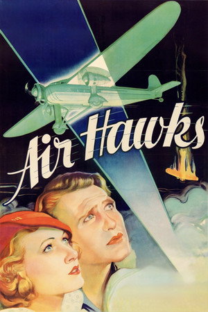 Air Hawks poszter