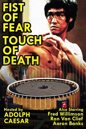 Fist of Fear, Touch of Death poszter