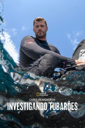 Chris Hemsworth: Cápák tengerpartja poszter