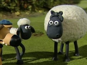 Shaun, a bárány 1. évad Ep.32 32. epizód