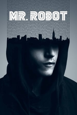 Mr. Robot poszter