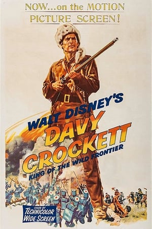 Davy Crockett, a vadnyugat királya poszter