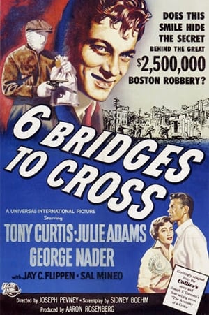 Six Bridges to Cross poszter