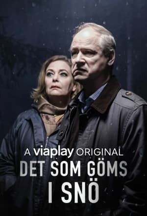 Det som göms i snö