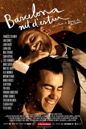 Barcelona nit d'estiu poszter