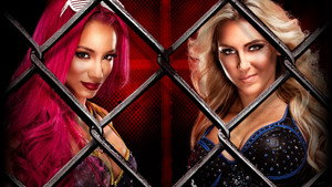 WWE Hell in a Cell 2016 háttérkép