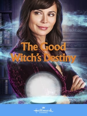 The Good Witch's Destiny poszter