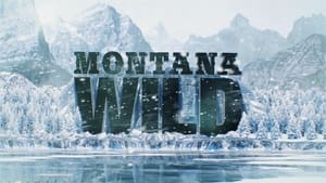 Montana Wild kép