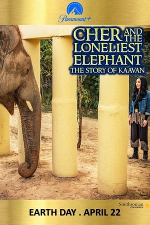 Cher & the Loneliest Elephant poszter